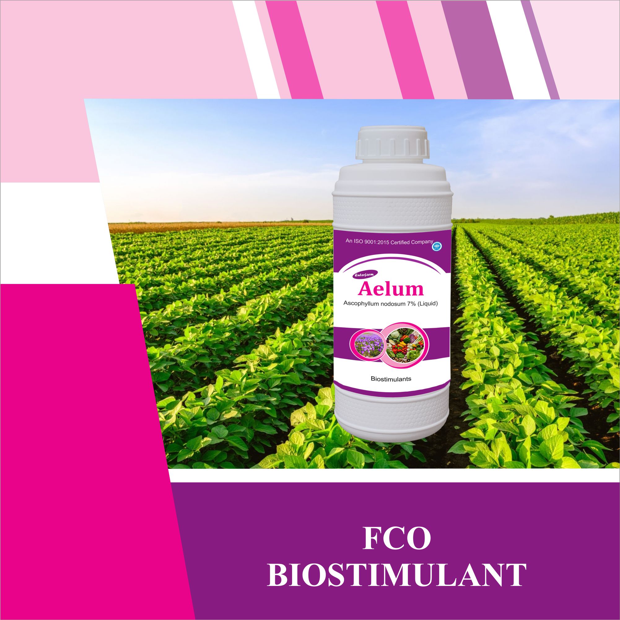 FCO_BIOSTIMULANT.jpg