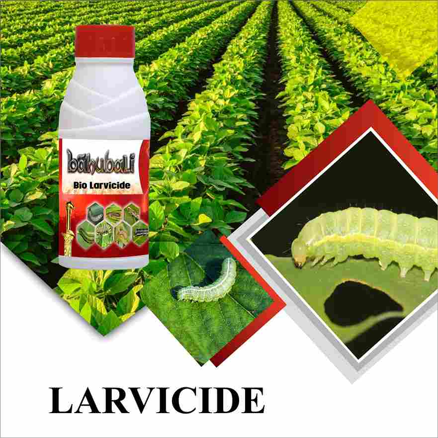 LARVICIDE.jpg