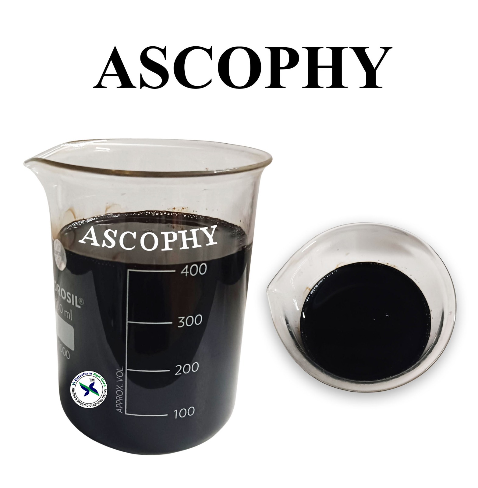 ASCOPHY