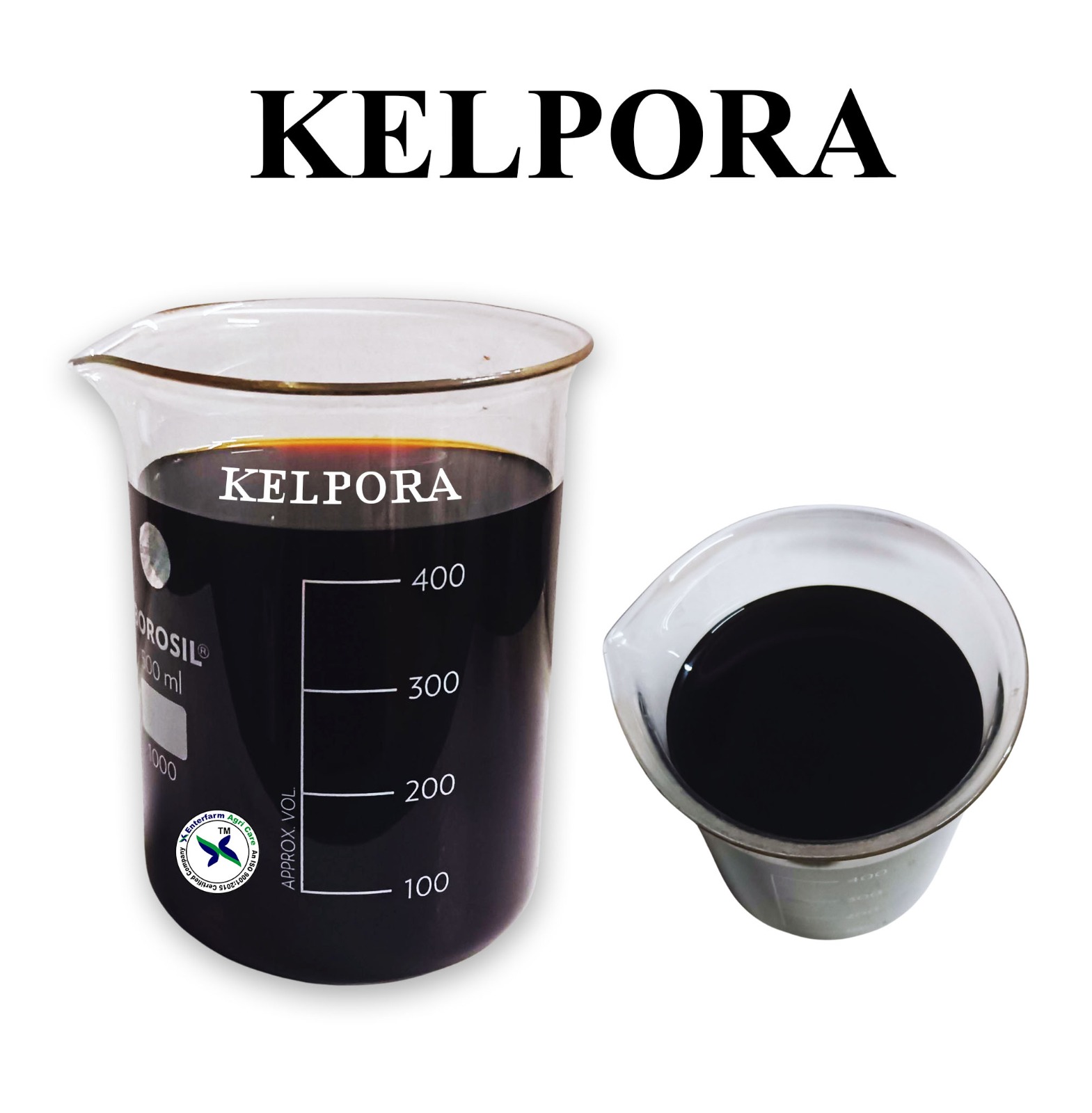 KELPORA